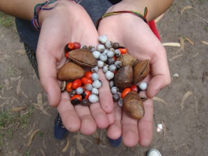 Hands holding a variety of seeds and dry fruits against a natural background.