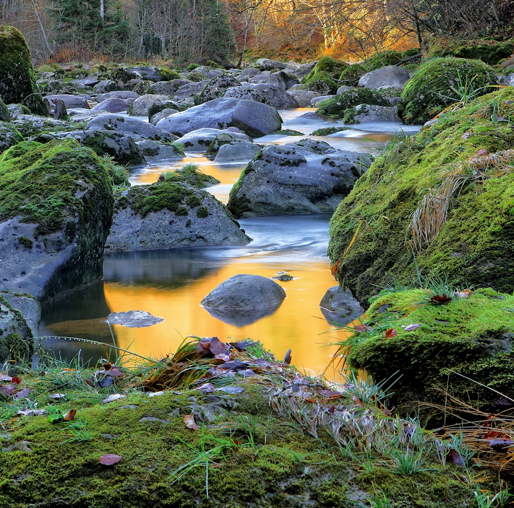 river surrounded by rocks