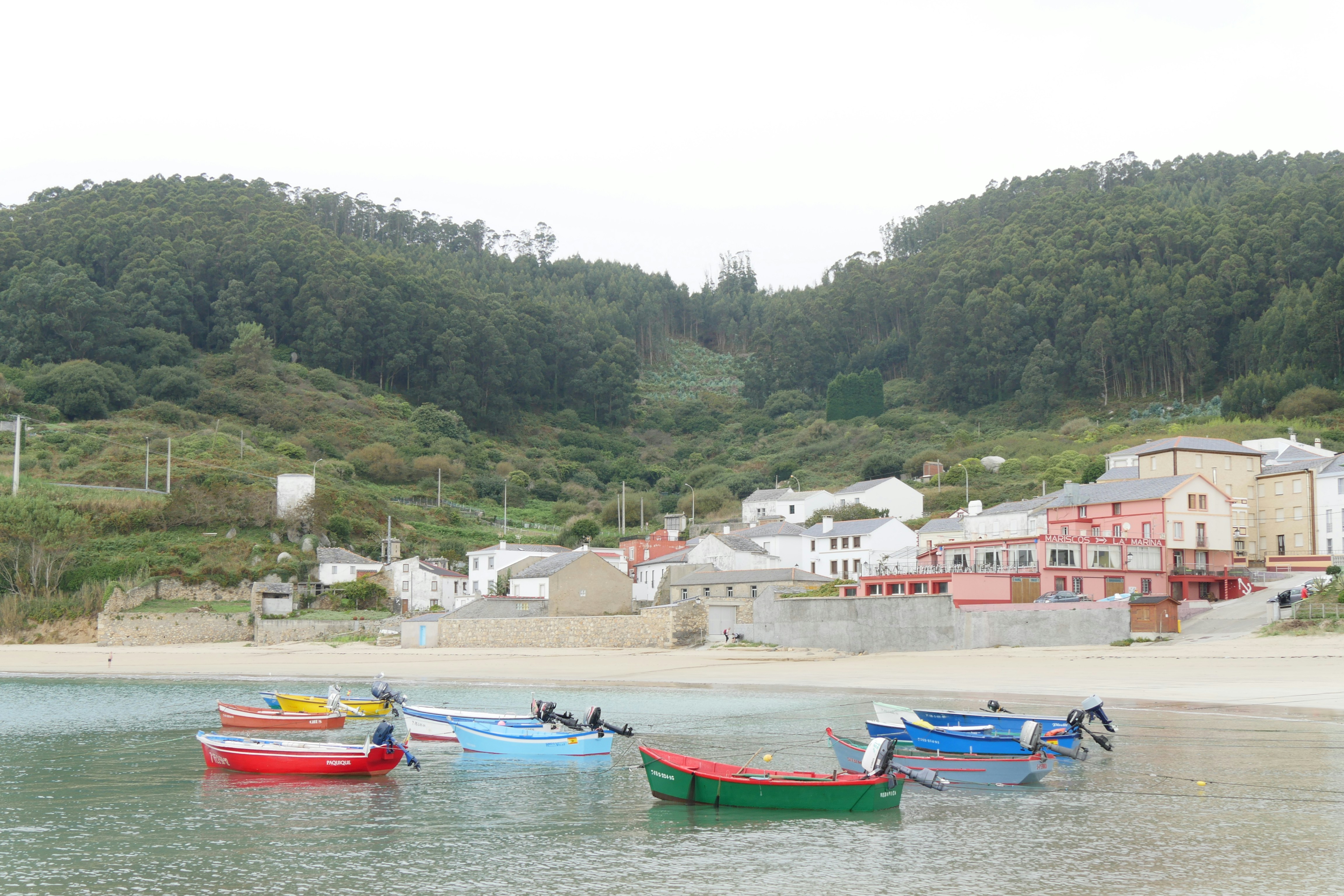 Free Unsplash photo from Hazel Clifton