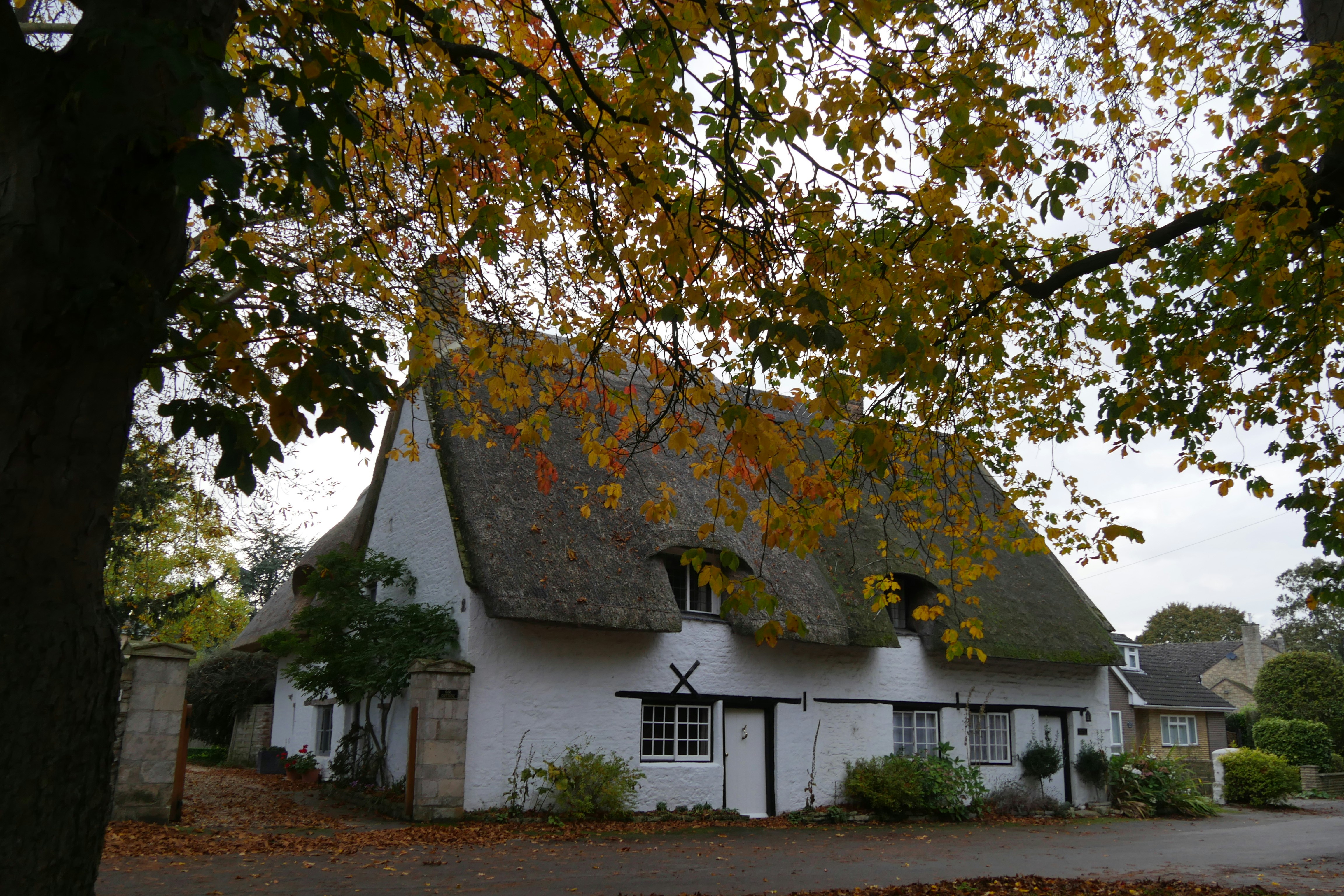 Free Unsplash photo from Hazel Clifton