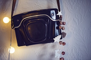 Mirrorless Pro Camera