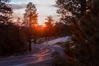 Sunset over a winding mountain road with an RV parked beside a pine forest.