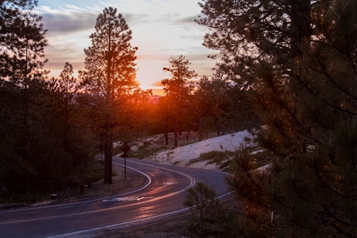 Sunset over a winding mountain road with an RV parked beside a pine forest.