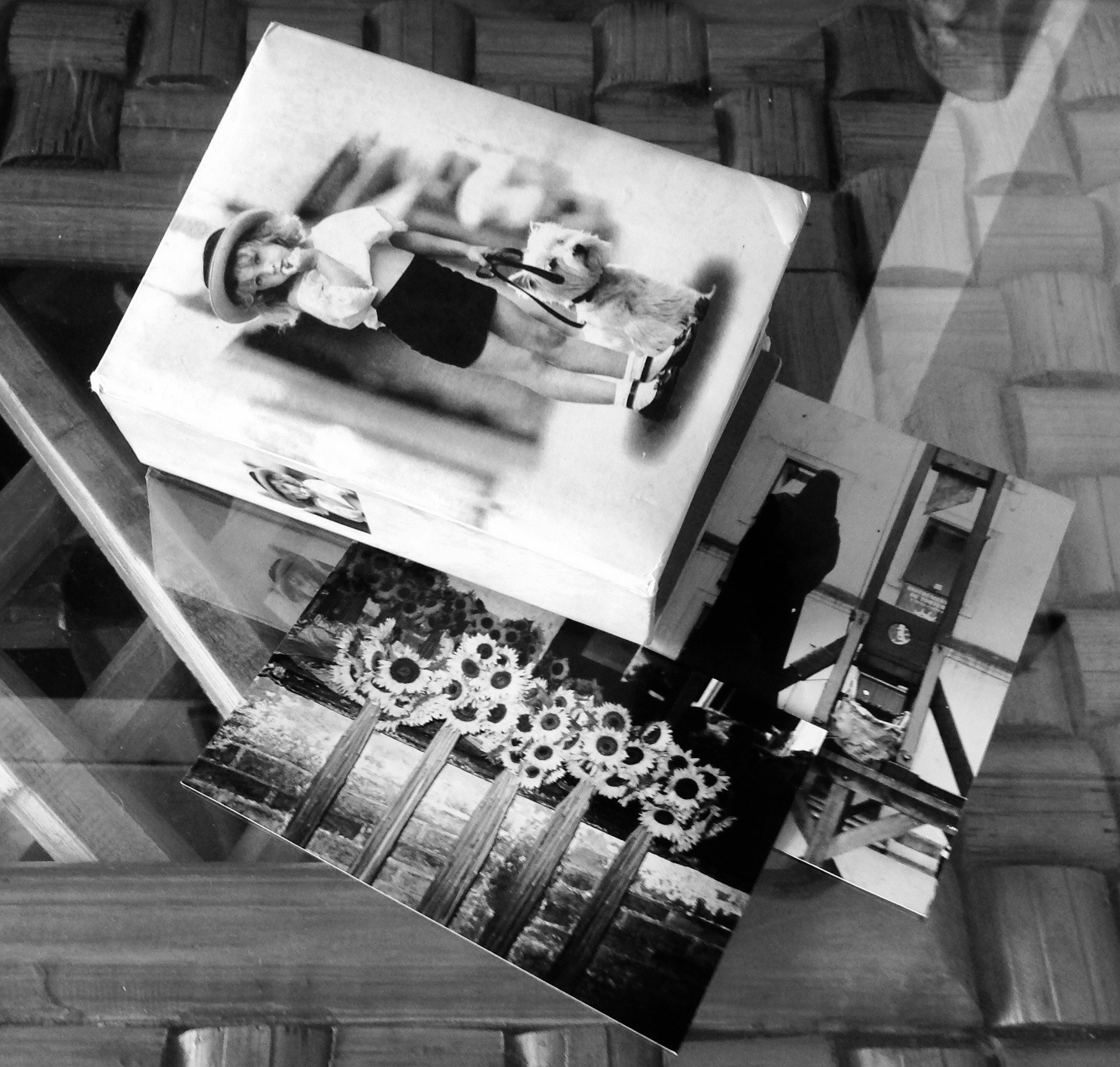 Do It Yourself - PhotoPresta