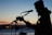 A silhouette of a musician playing the guitar and singing into a microphone set against a twilight sky. The background features a serene body of water and distant city lights, creating a peaceful ambiance.