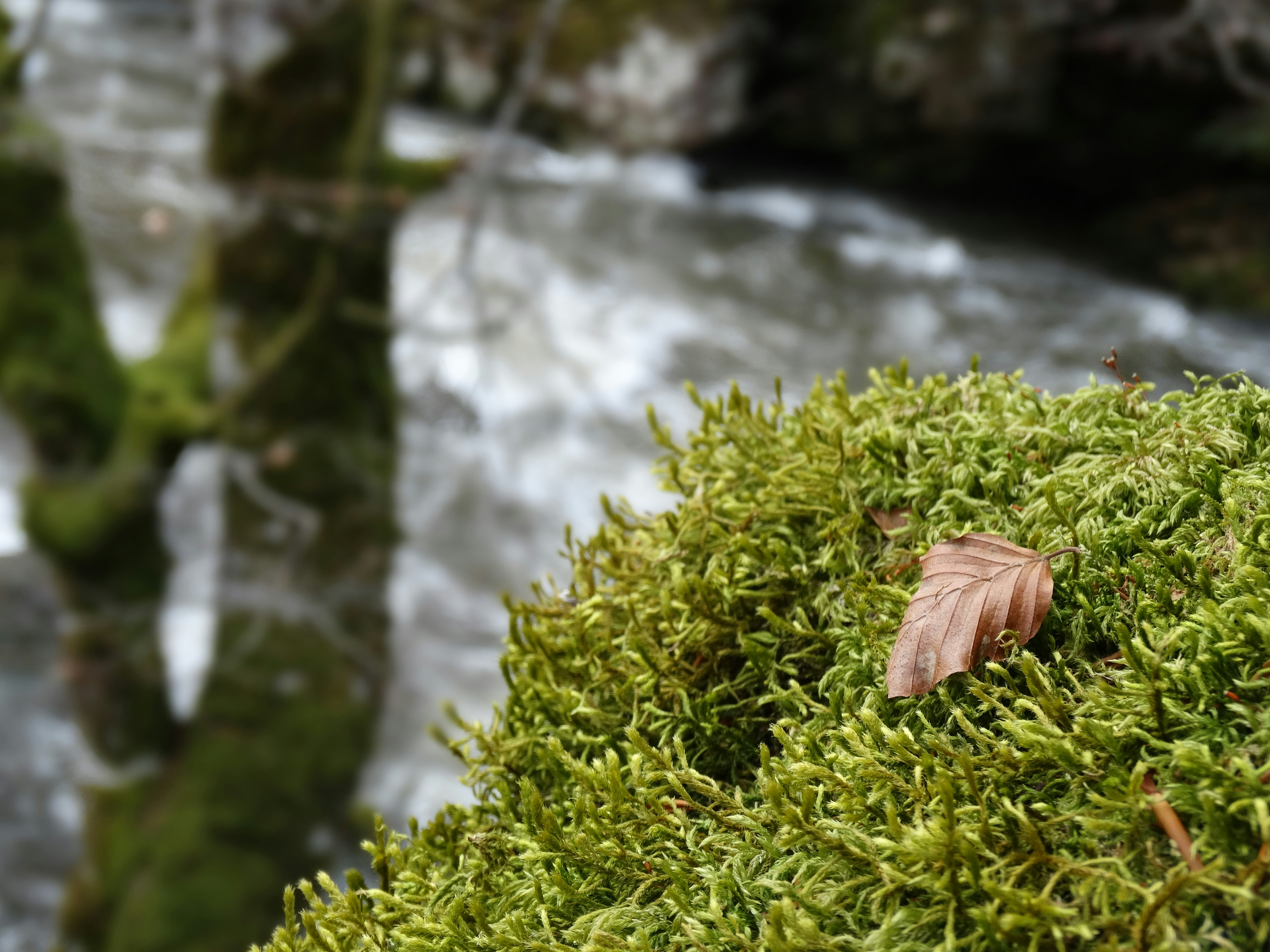 Free Unsplash photo from Pablo Urdaniz