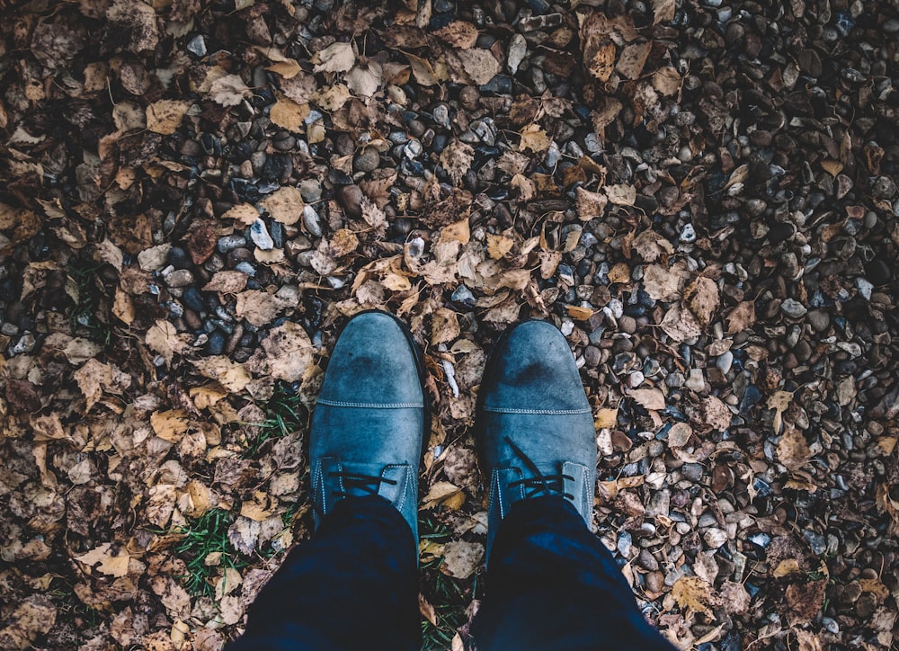 person wearing black leather oxford dress shoes with leaves