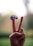 A hand gestures with two fingers raised, resembling a 'V' sign. A sticker with the text 'I VOTED' and an American flag design is placed on one of the fingers. The background is softly blurred.