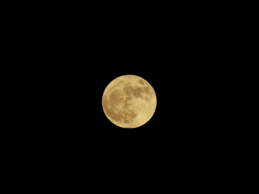 보름달 일루스트라이톤
