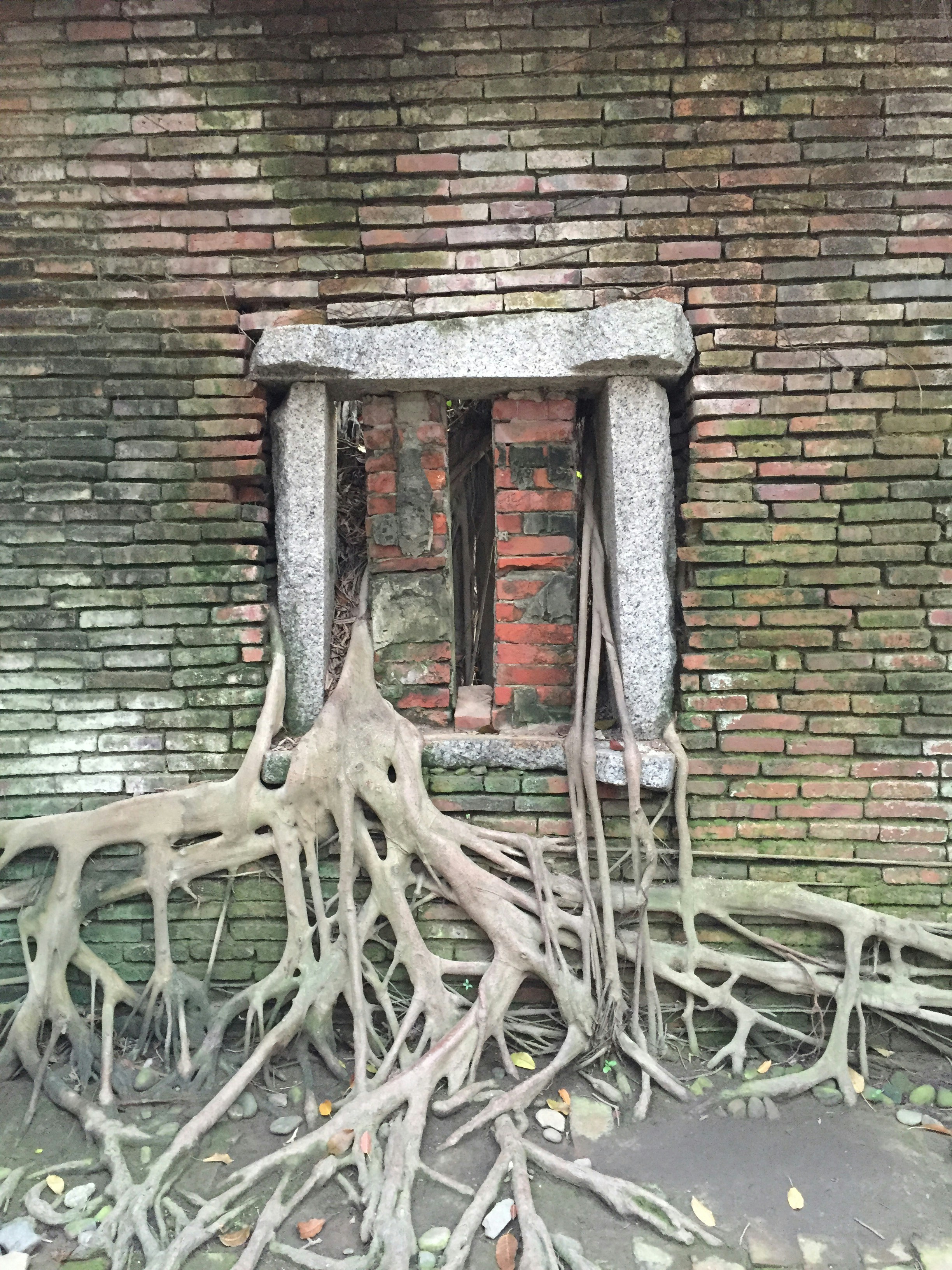 Free Unsplash photo from Wang Yi Chen