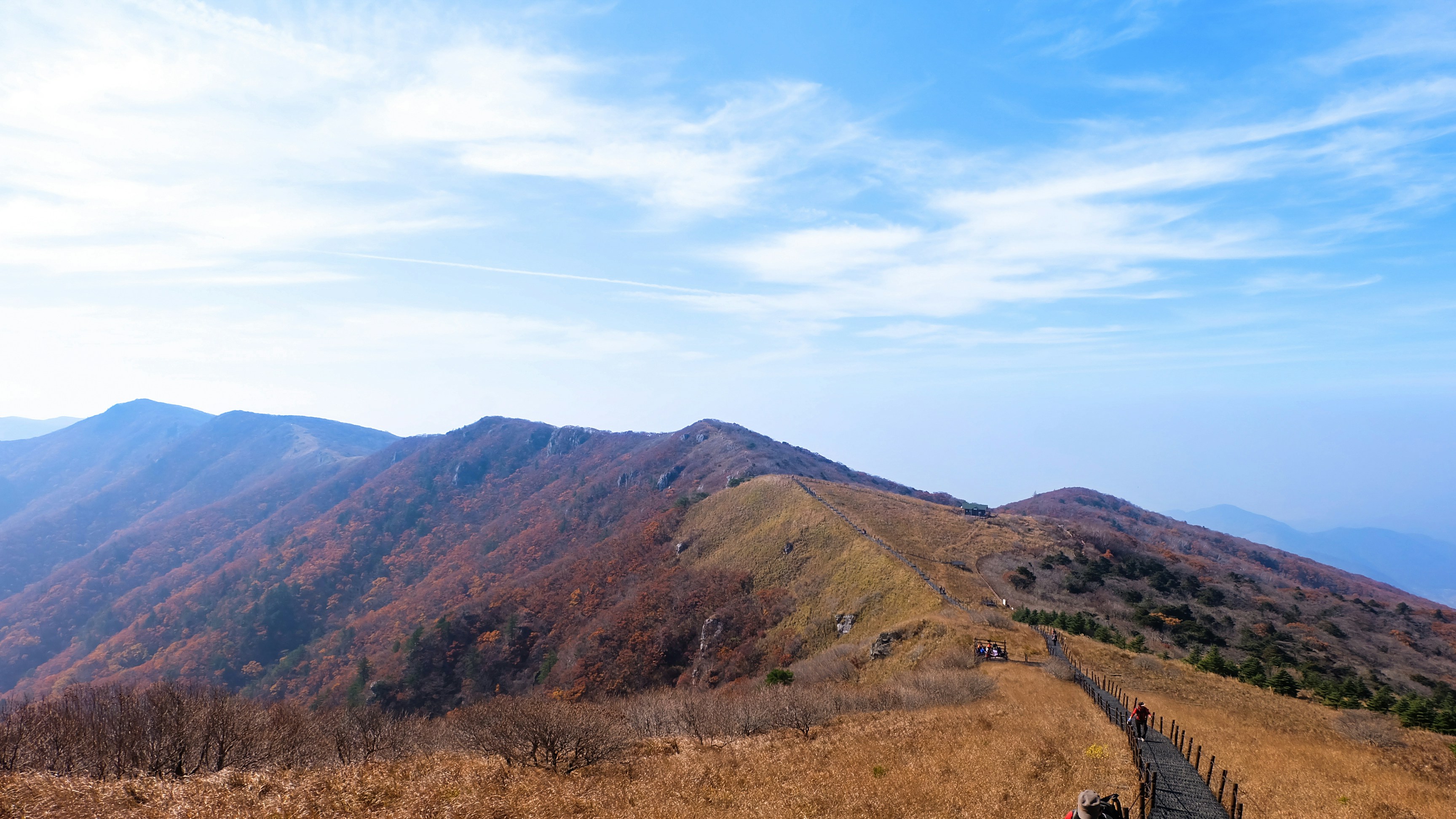 Free Unsplash photo from Janis Rozenfelds