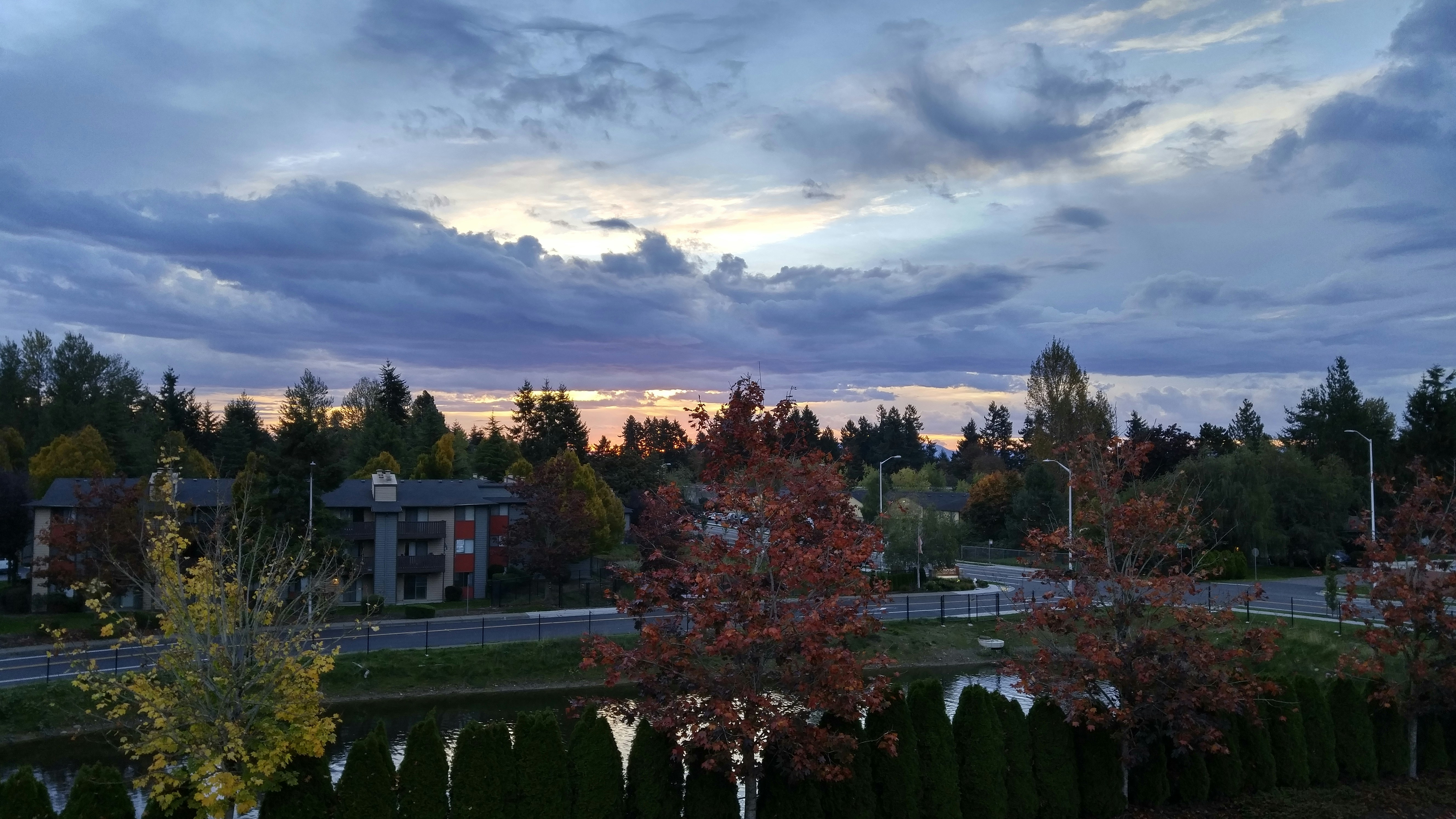 Free Unsplash photo from Scott Warner