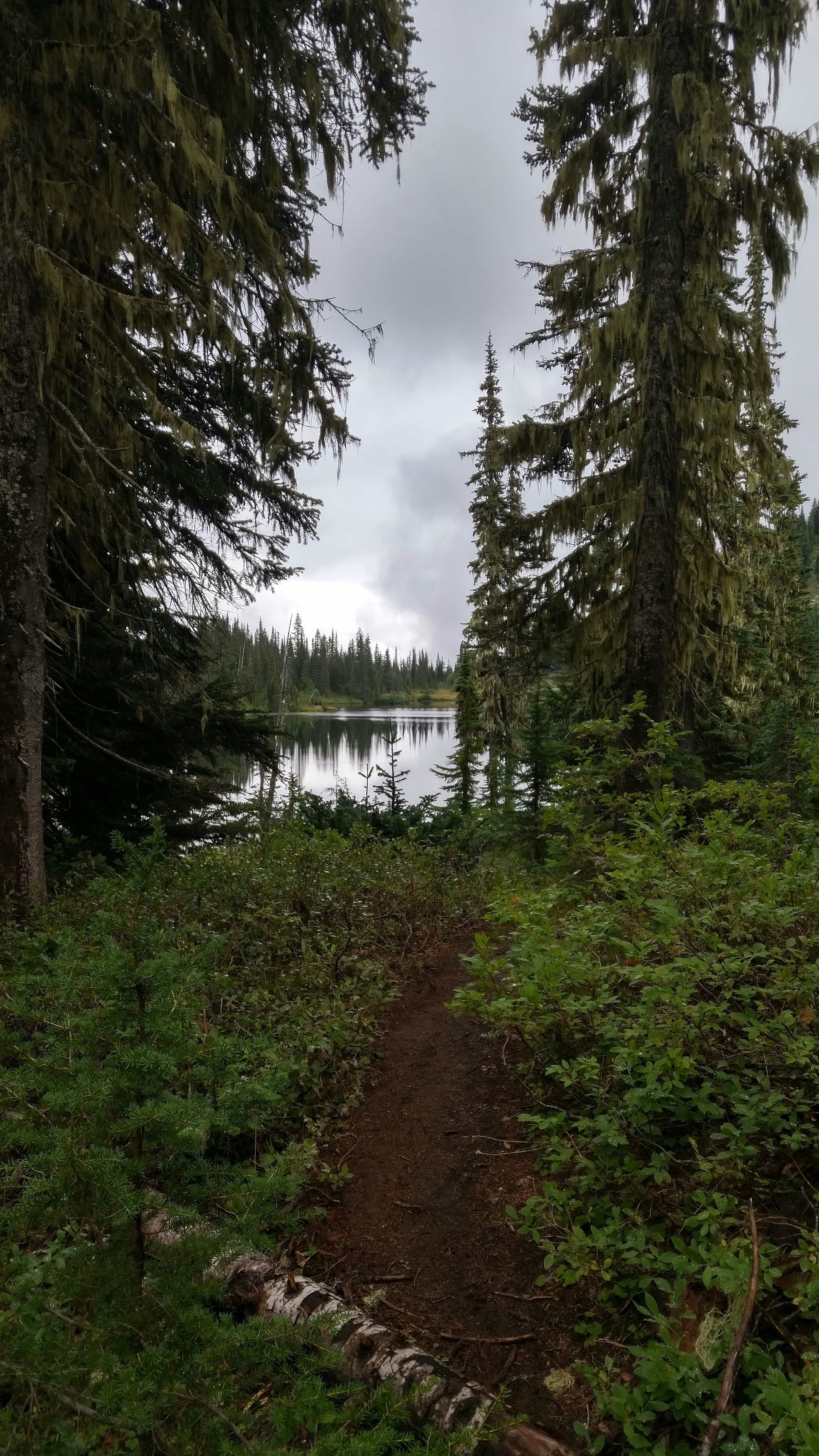 Free Unsplash photo from Scott Warner