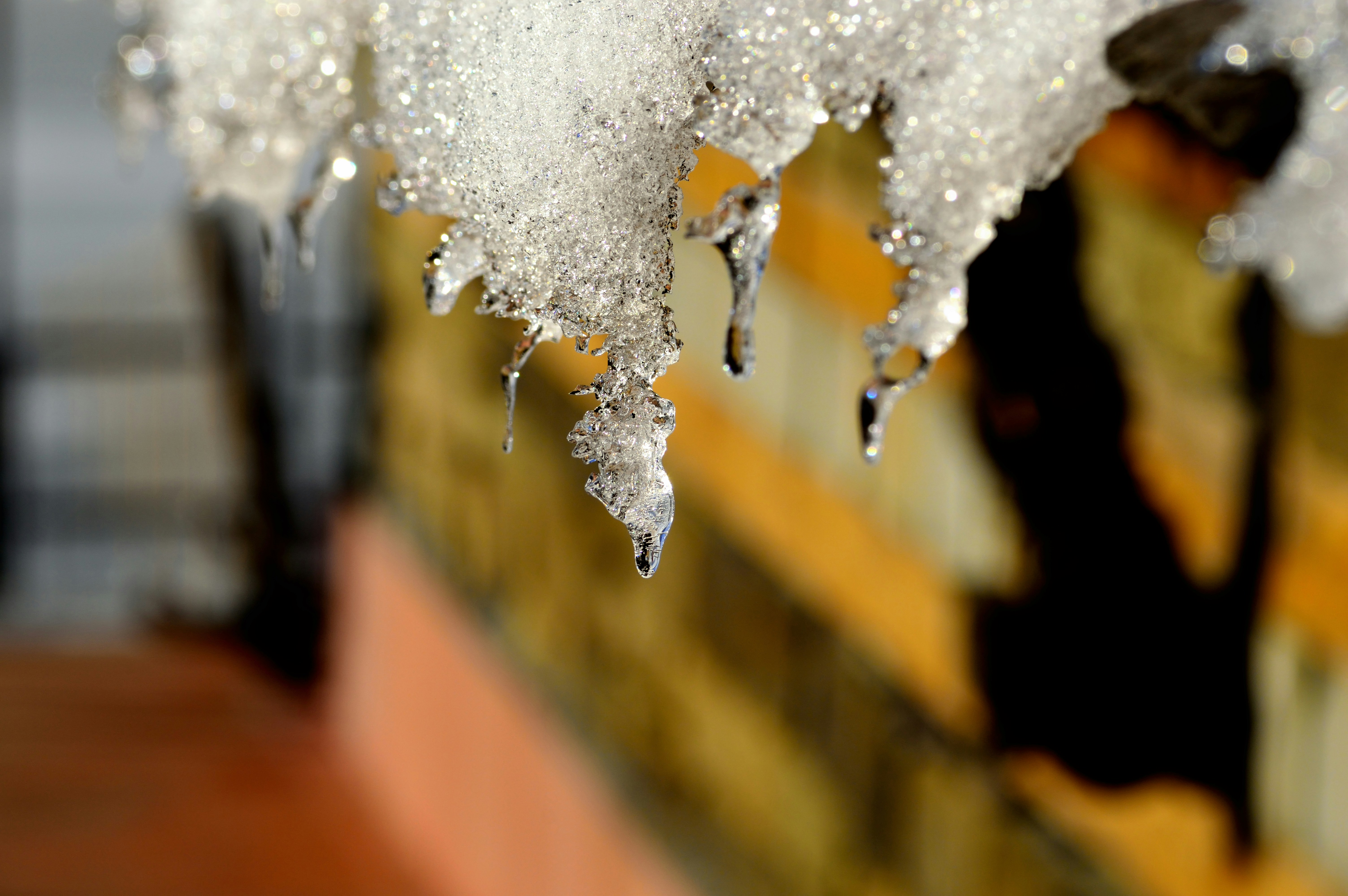 Free Unsplash photo from Ishan Baruah