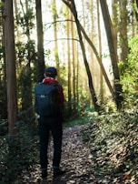 A traveler wearing a comfortable backpack hiking along a forest trail bathed in golden sunlight.