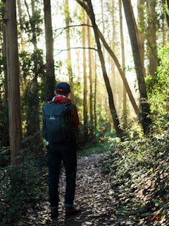 A traveler wearing a Shine Republic backpack walking along a forest trail.