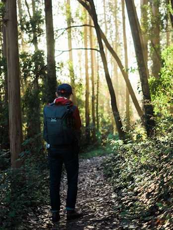 A traveler wearing a Shine Republic backpack walking along a forest trail.