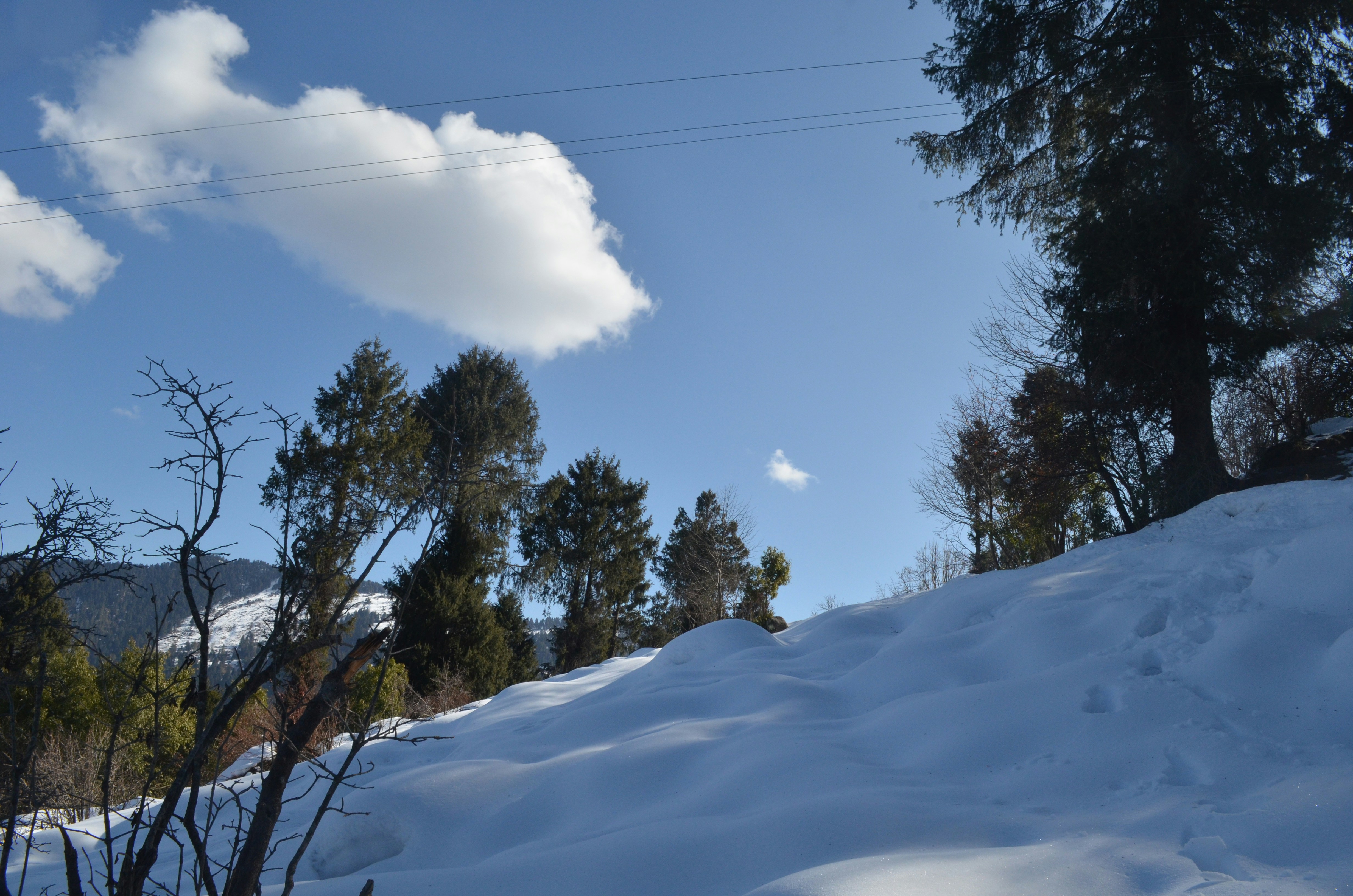 Free Unsplash photo from Ishan Baruah