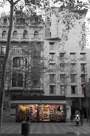 A vibrant kiosk full of colorful goods is situated on a city street, standing out against its grayscale urban surroundings. The building facades in the background are old and ornate, partially obscured by bare-branched trees. A lone motorcyclist is paused at a red traffic light nearby, next to a decorative pavement.