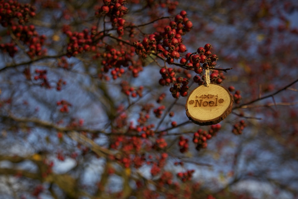 round brown Noel hanging decor at red fruits