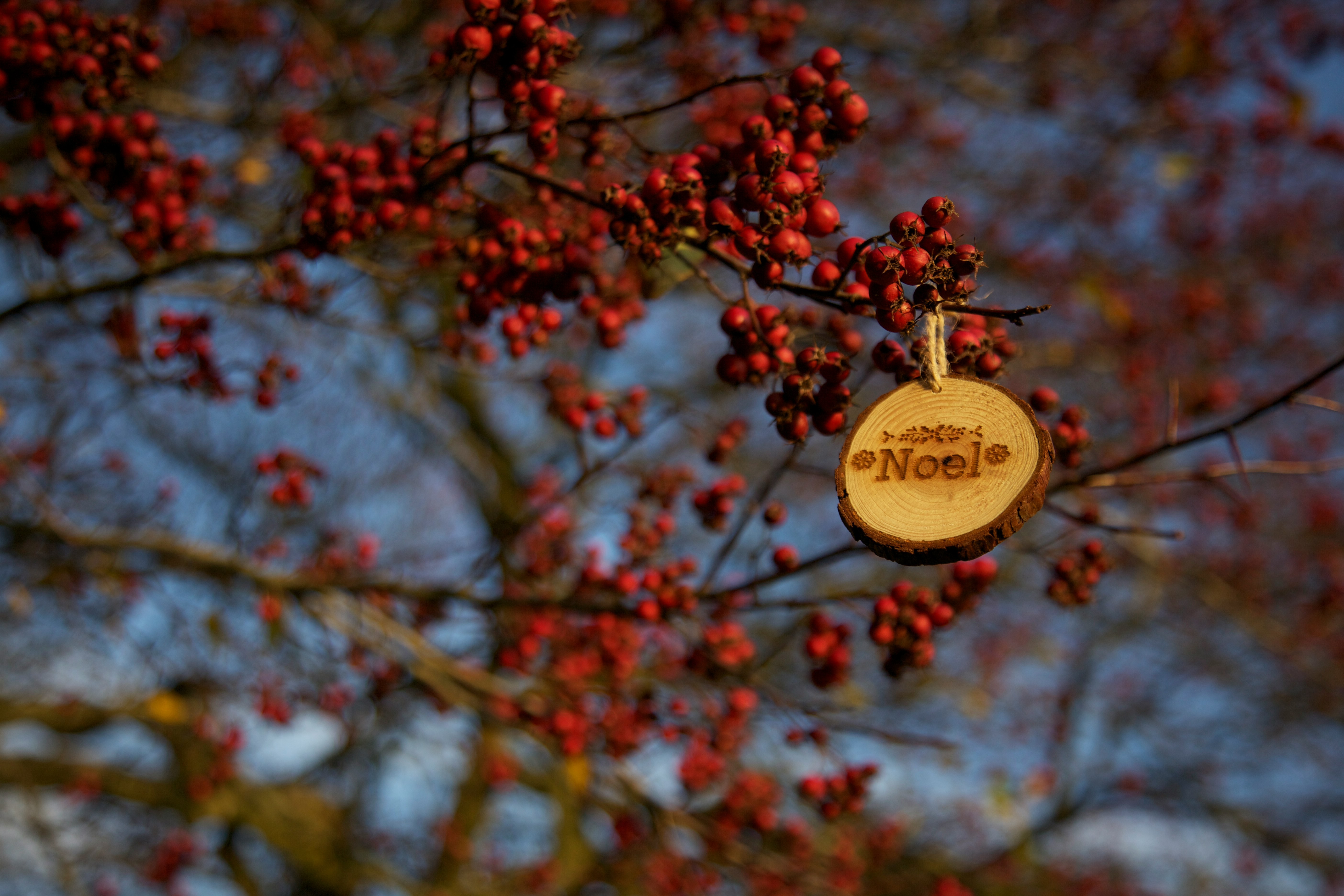 round brown Noel hanging decor at red fruits