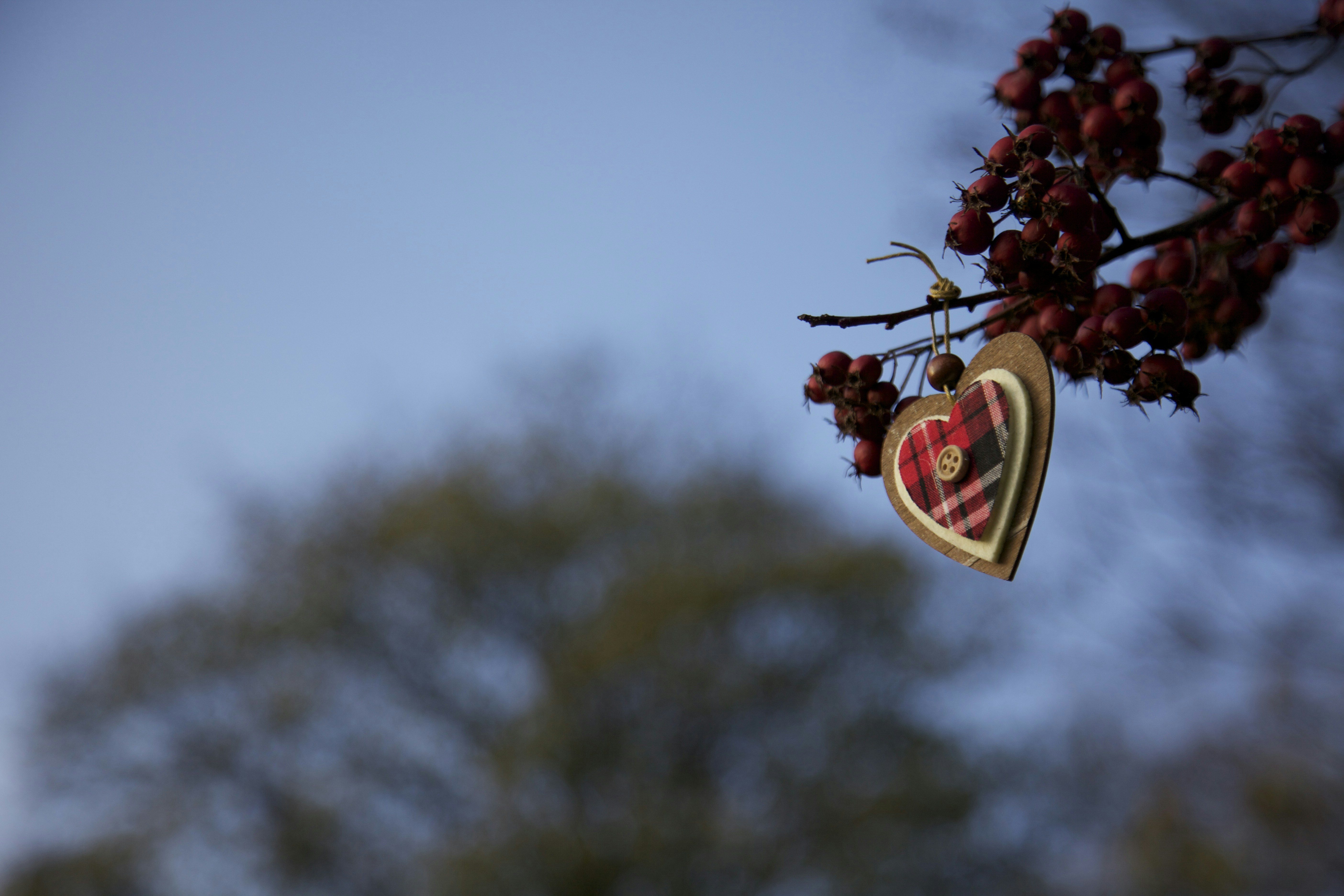 Free Unsplash photo from Shannon Henriksen