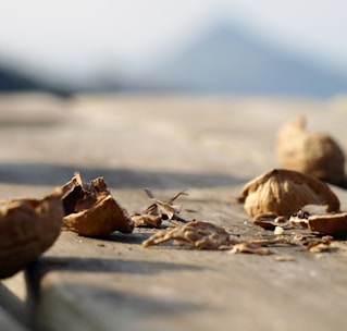 A serene seaside background with walnuts scattered on a wooden table, symbolizing calm and strength.