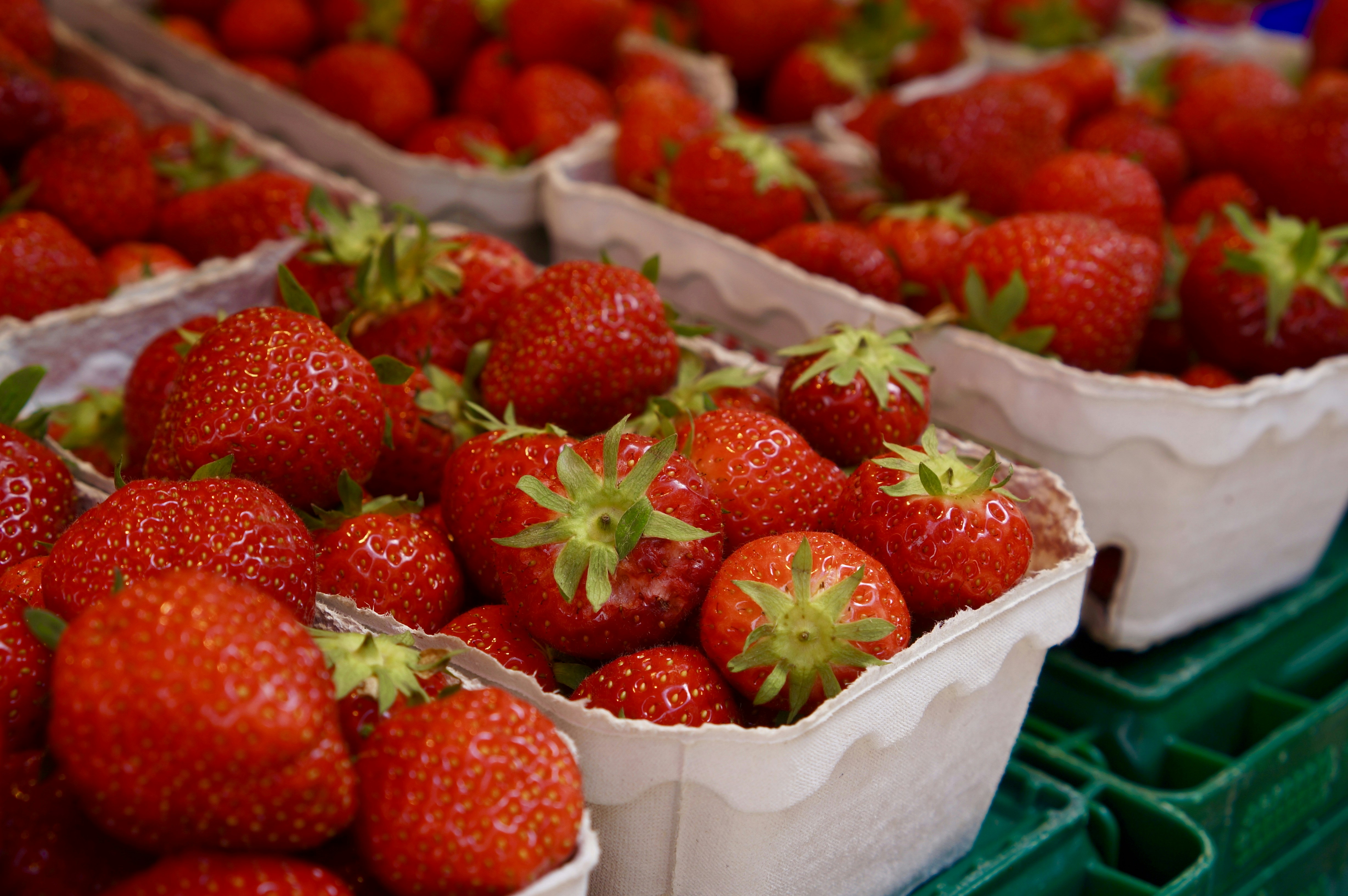 Free Unsplash photo from Georgia Ho