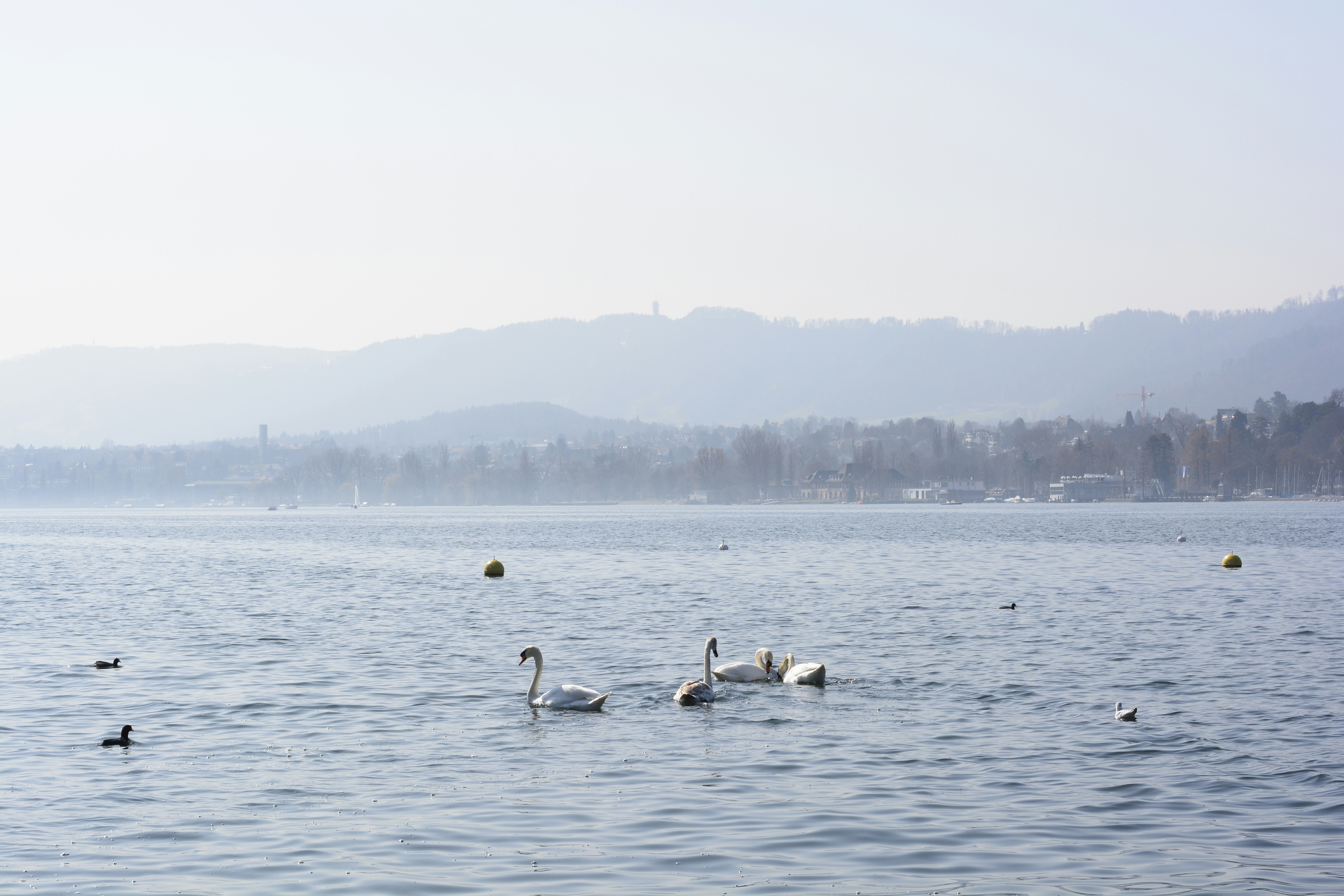 Free Unsplash photo from Kate Tereshchenko