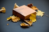 Music box playing on a rustic wooden table surrounded by fall leaves.