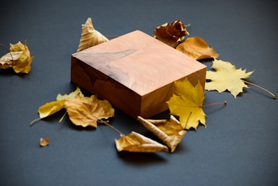 An elegant porcelain music box resting on a wooden table surrounded by fallen autumn leaves.
