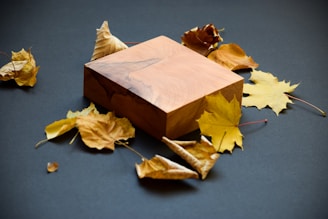 An elegant porcelain music box resting on a wooden table surrounded by fallen autumn leaves.