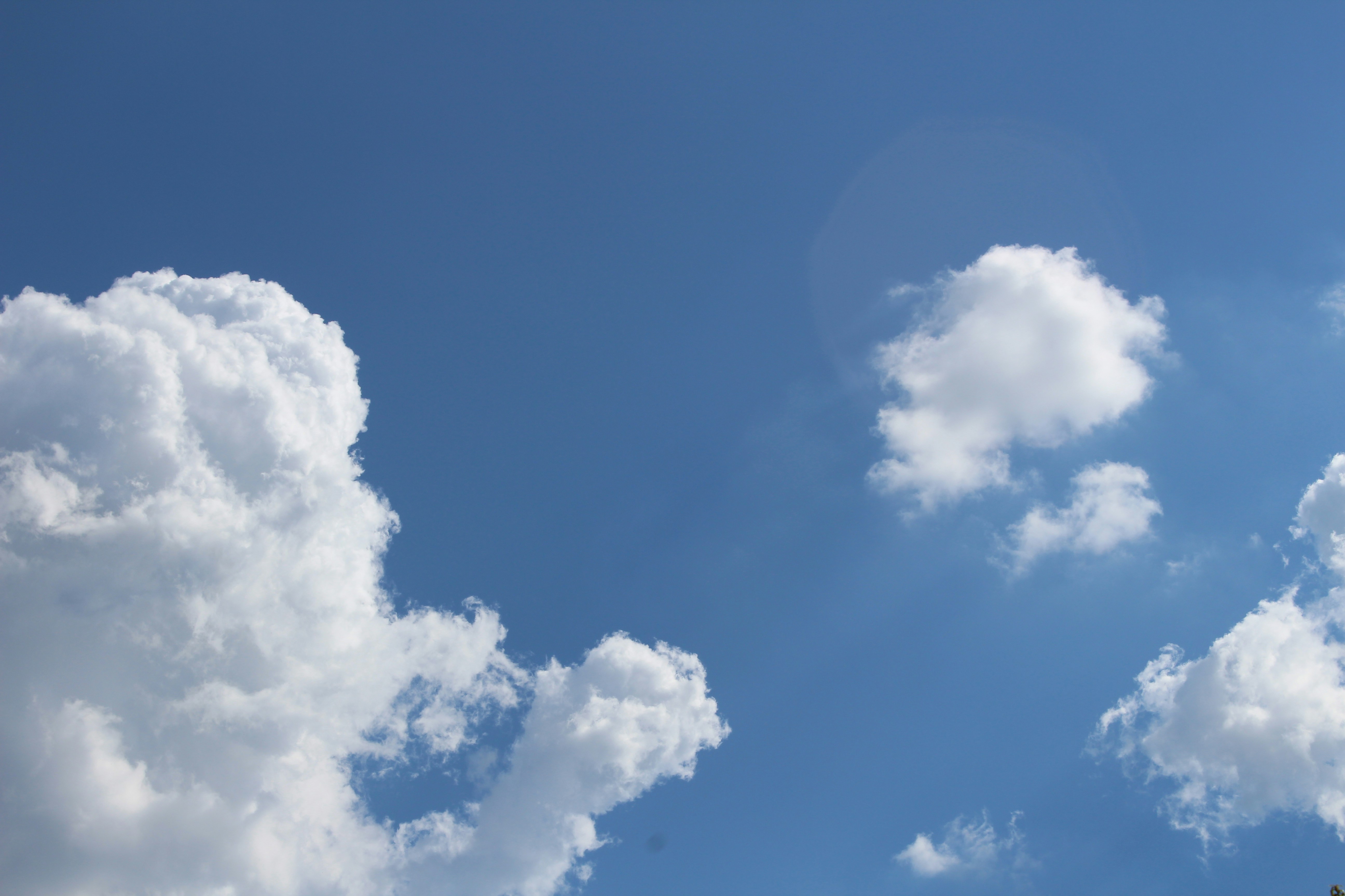 Free Unsplash photo from Gretchen