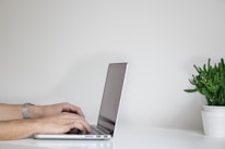 Close-up of hands typing on a keyboard with a green plant in the background.