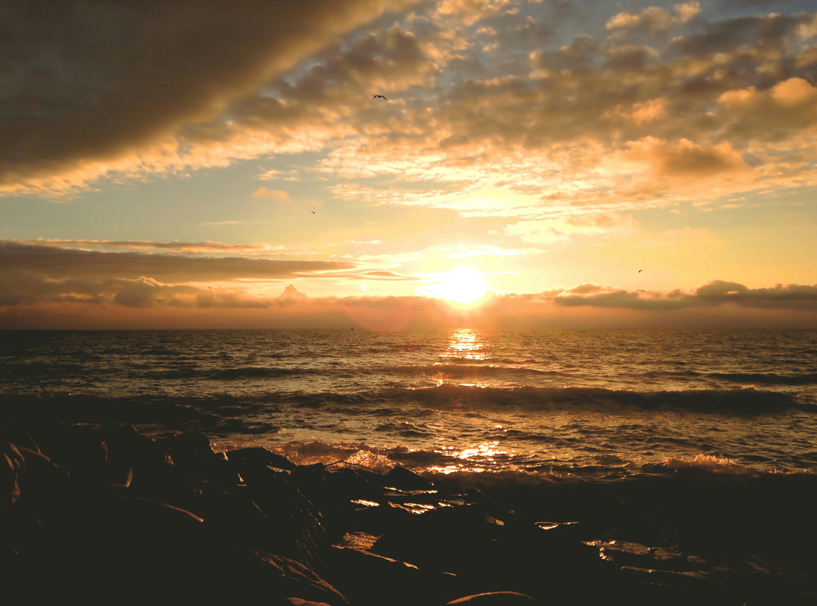 Free Unsplash photo from Sascha Lichtenstein