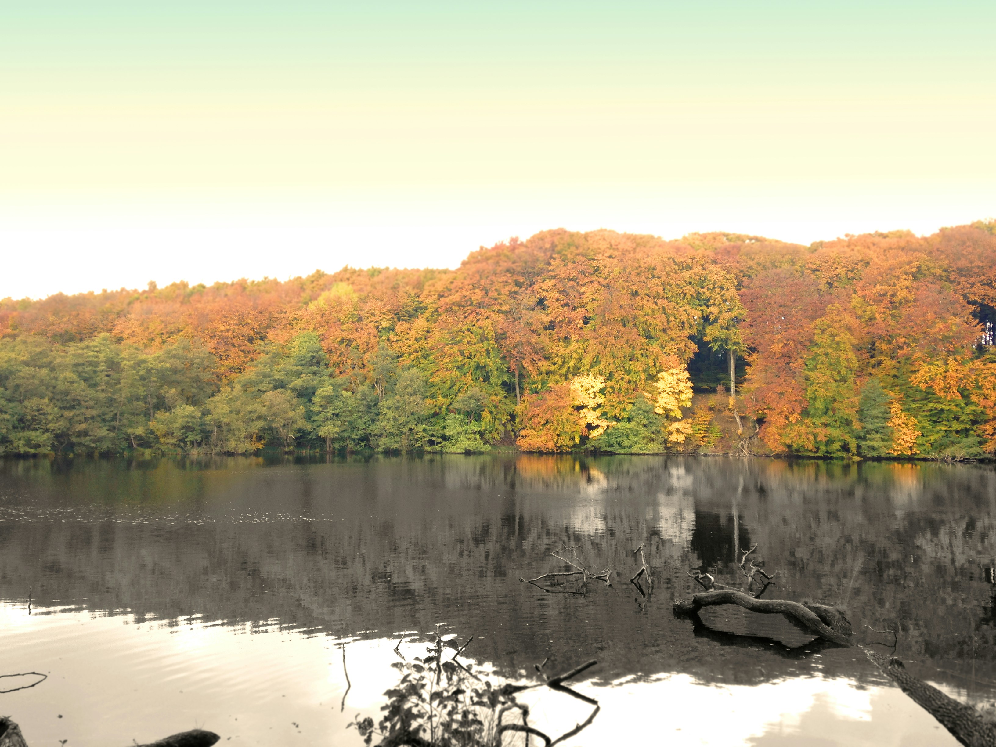 Free Unsplash photo from Sascha Lichtenstein