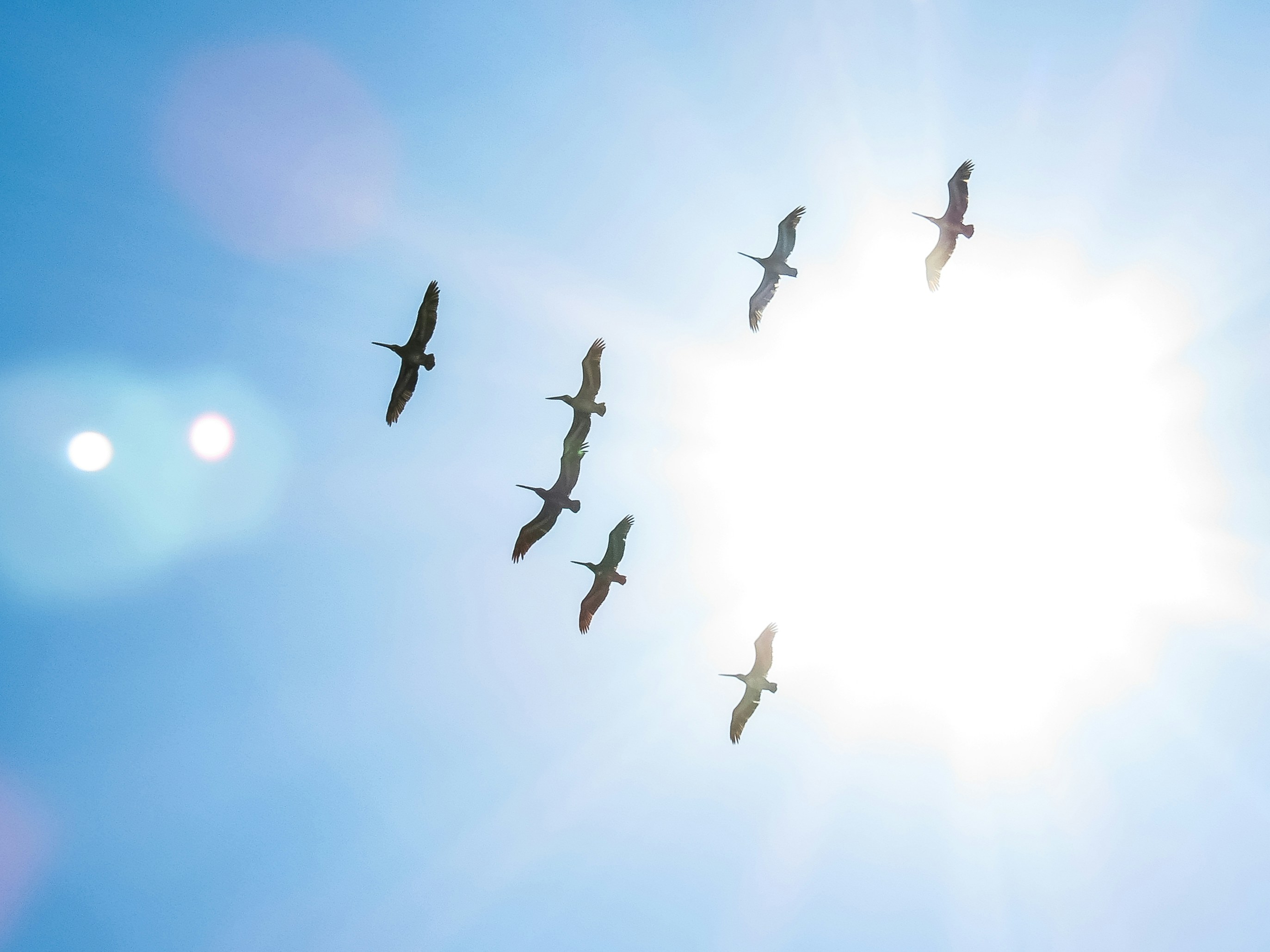 Free Unsplash photo from Cristian Dieguez