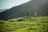 2 women walking on green grass field during daytime