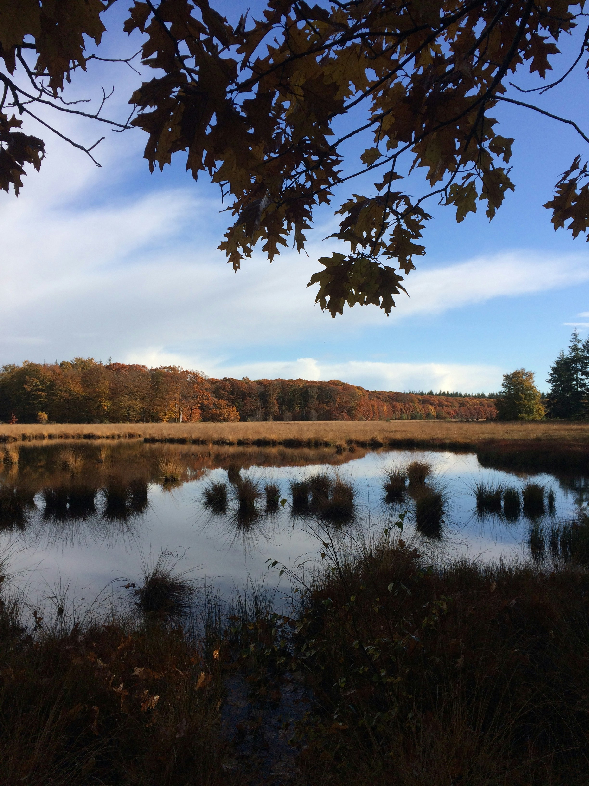 Free Unsplash photo from Adinda Keizer