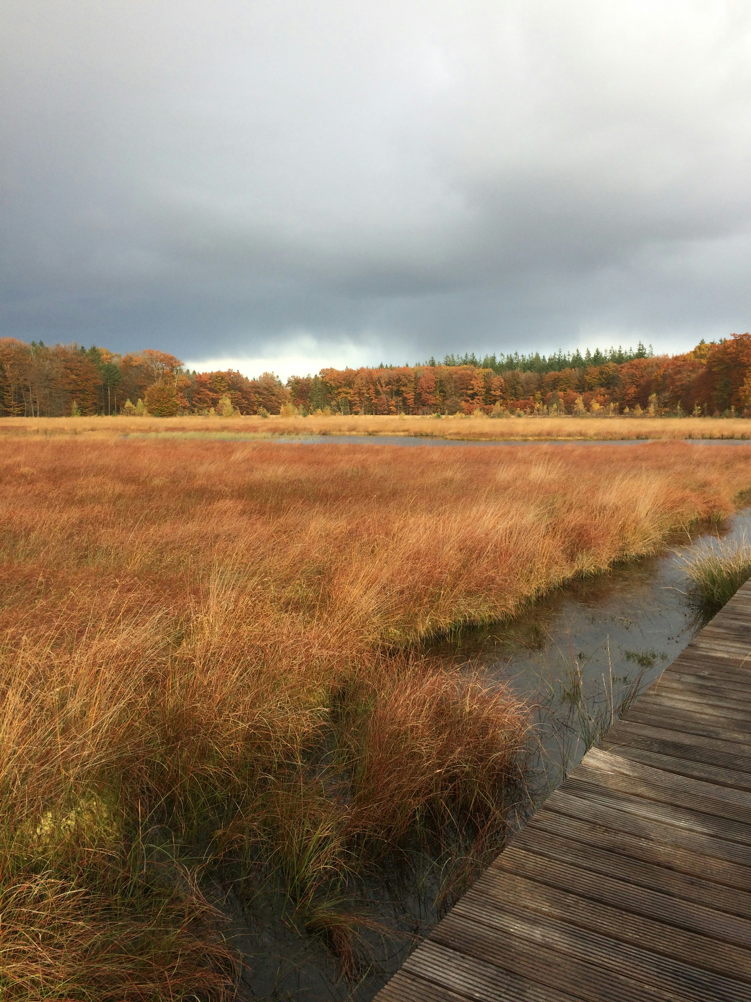 Free Unsplash photo from Adinda Keizer