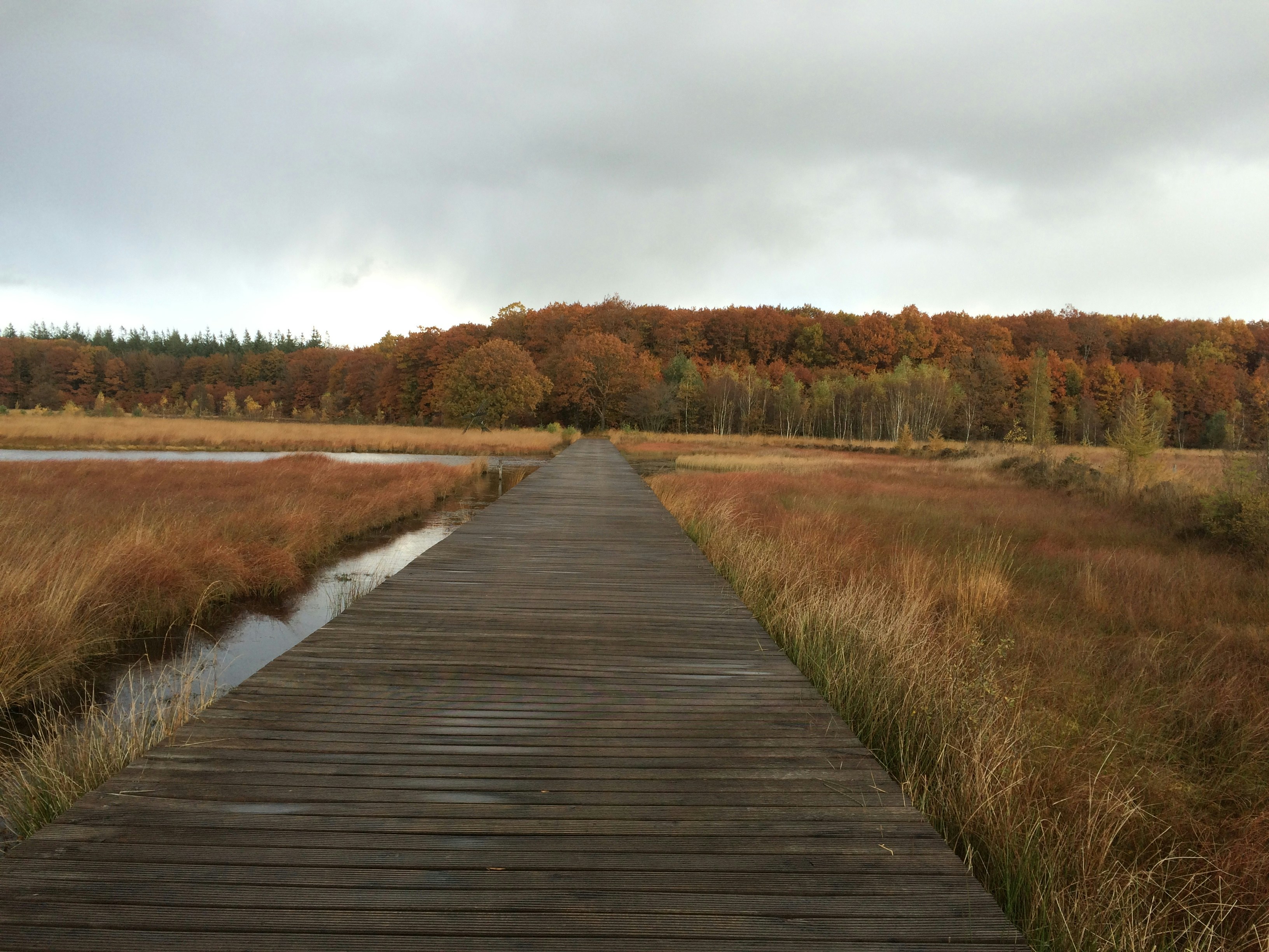 Free Unsplash photo from Adinda Keizer