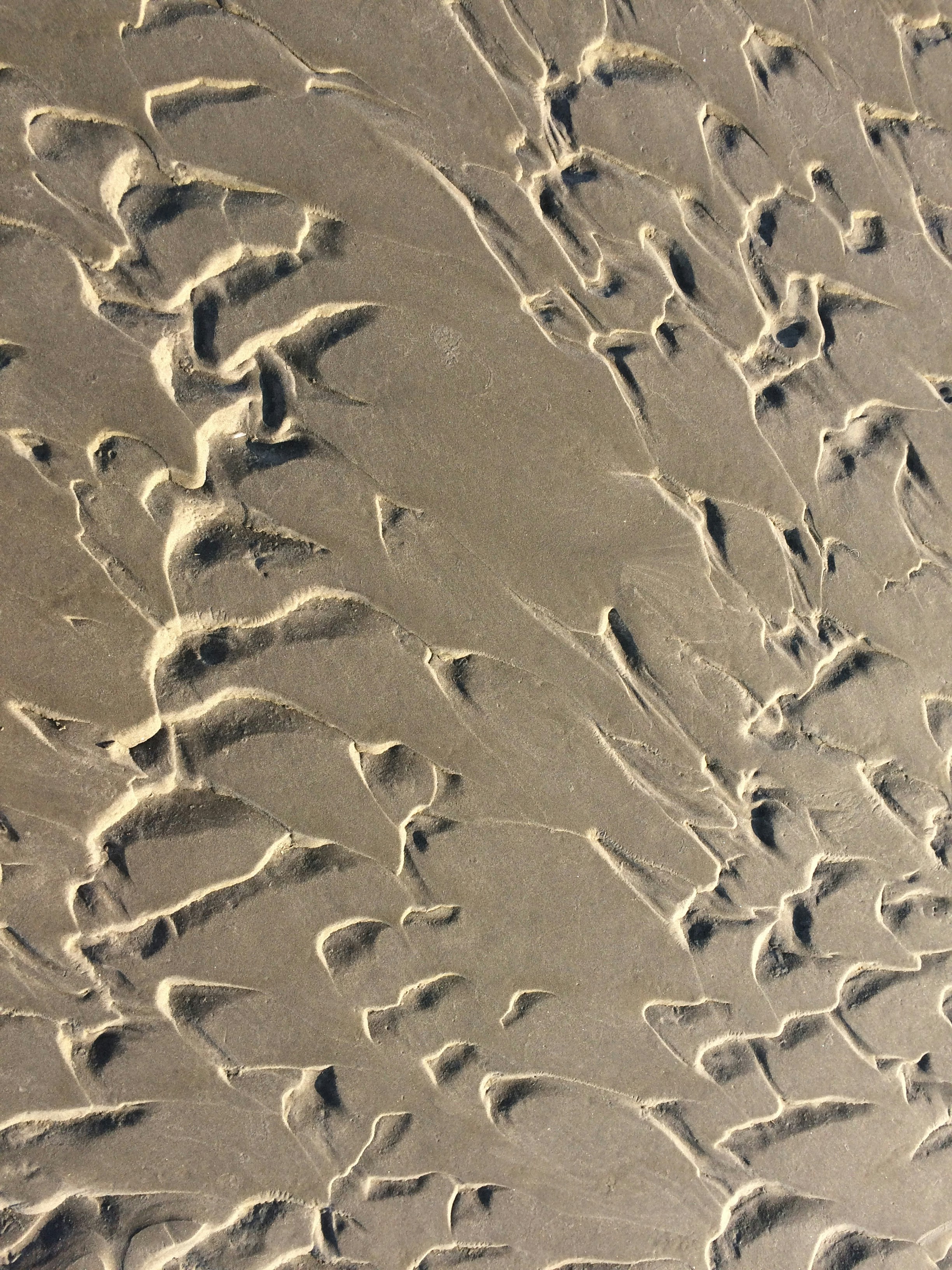 Free Unsplash photo from Adinda Keizer