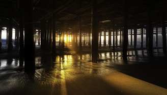 Warm golden-hour photo of a tropical wooden pergola with intricate beams glowing in amber sunlight.