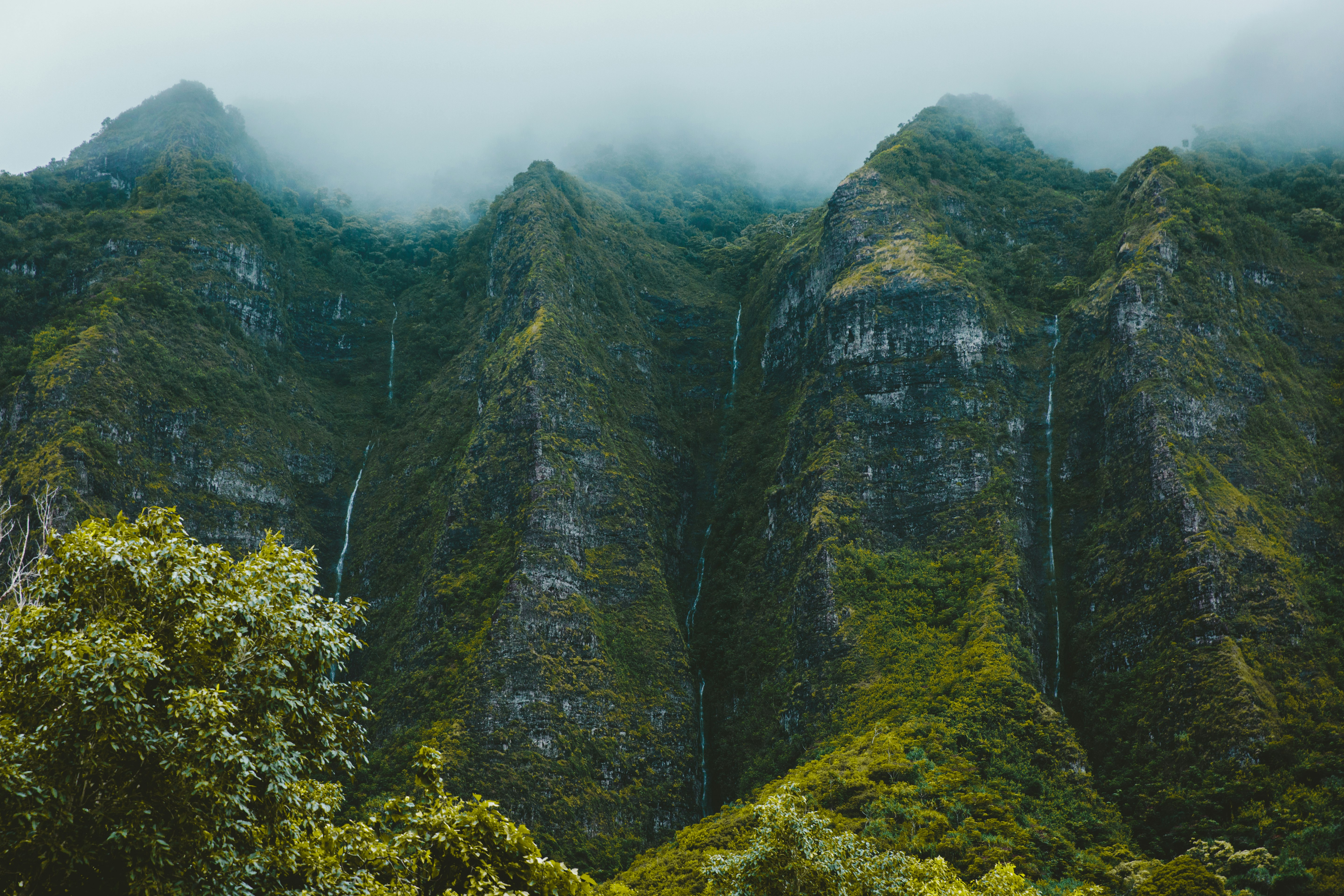 aerial view of mountain