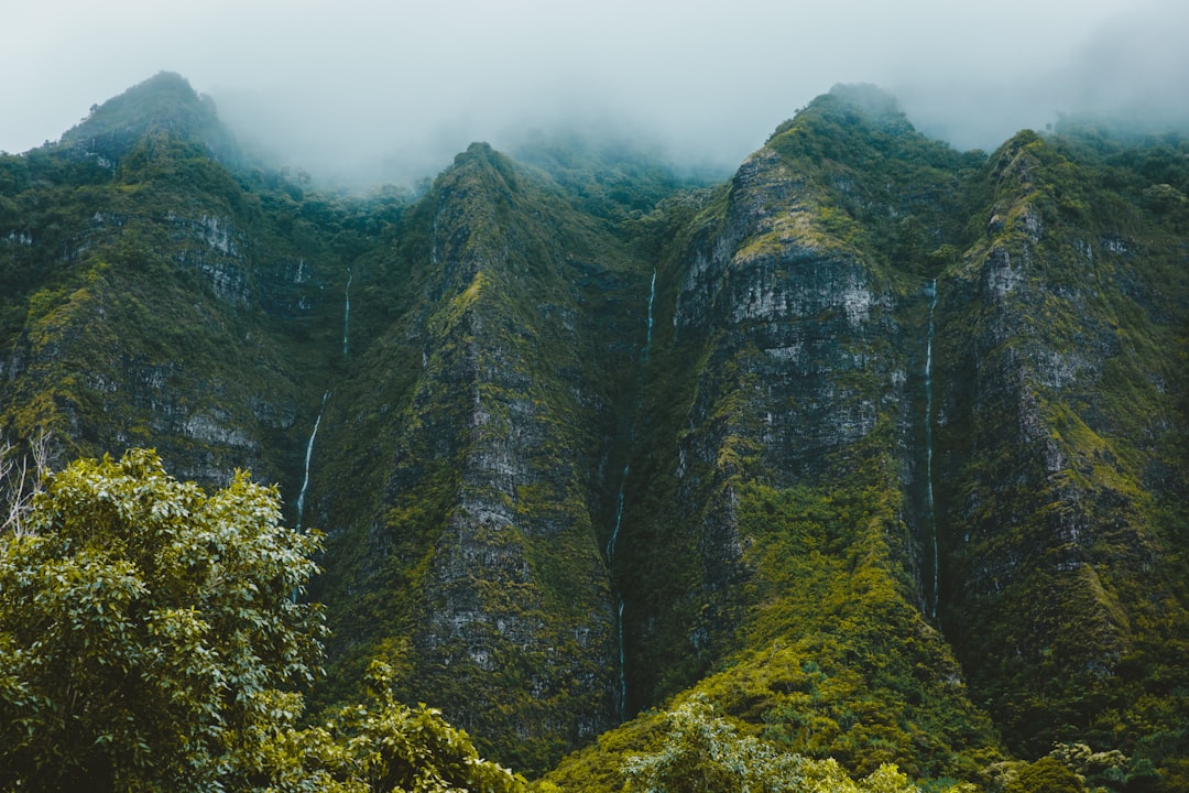 aerial view of mountain, Misty cliff