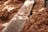 A close-up view of a wooden plank surrounded by a large amount of wood shavings, likely suggesting a carpentry or woodworking setting. Sunlight casts soft, scattered shadows over the surface.