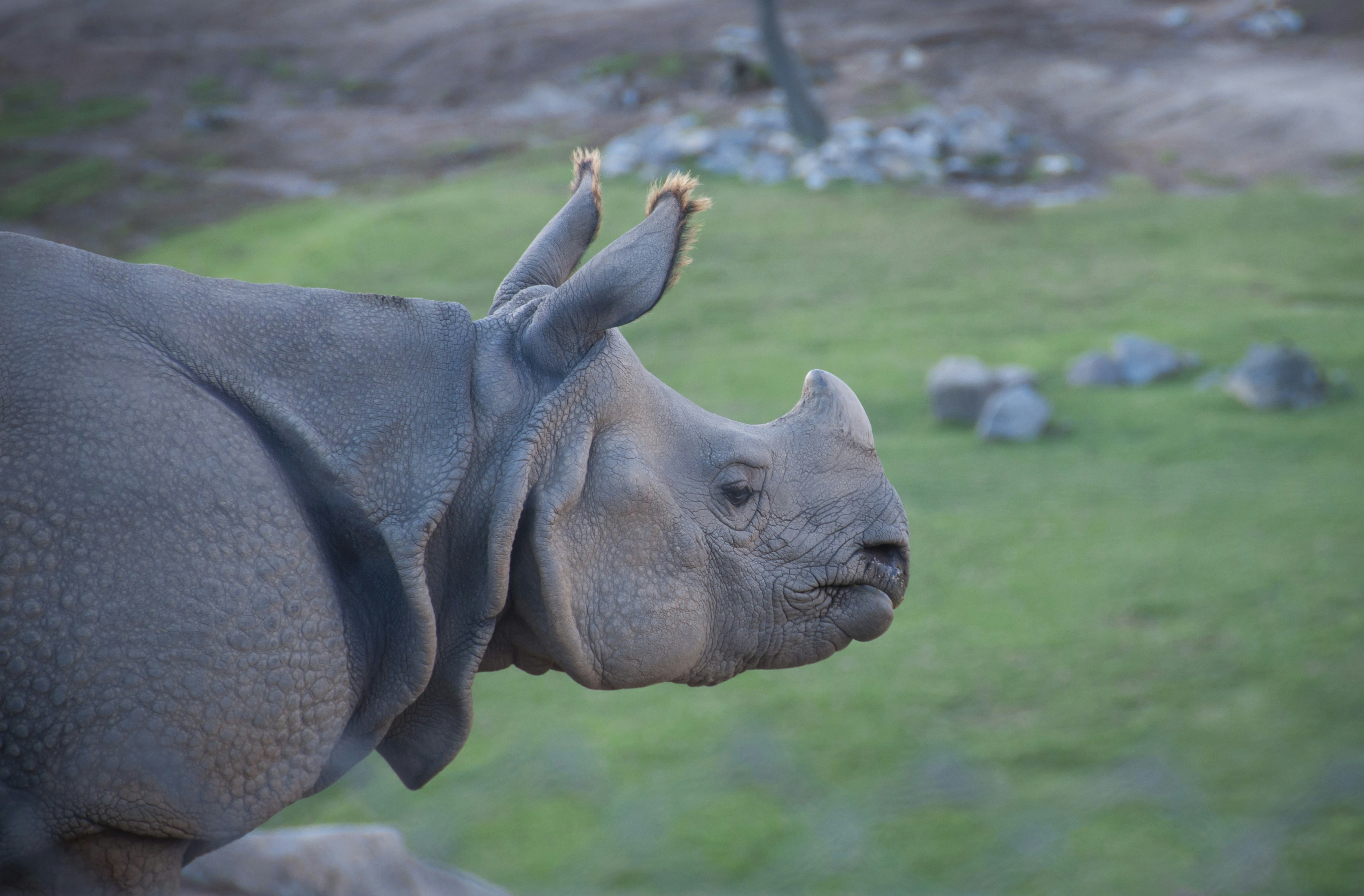 Free Unsplash photo from Jessica Weiller