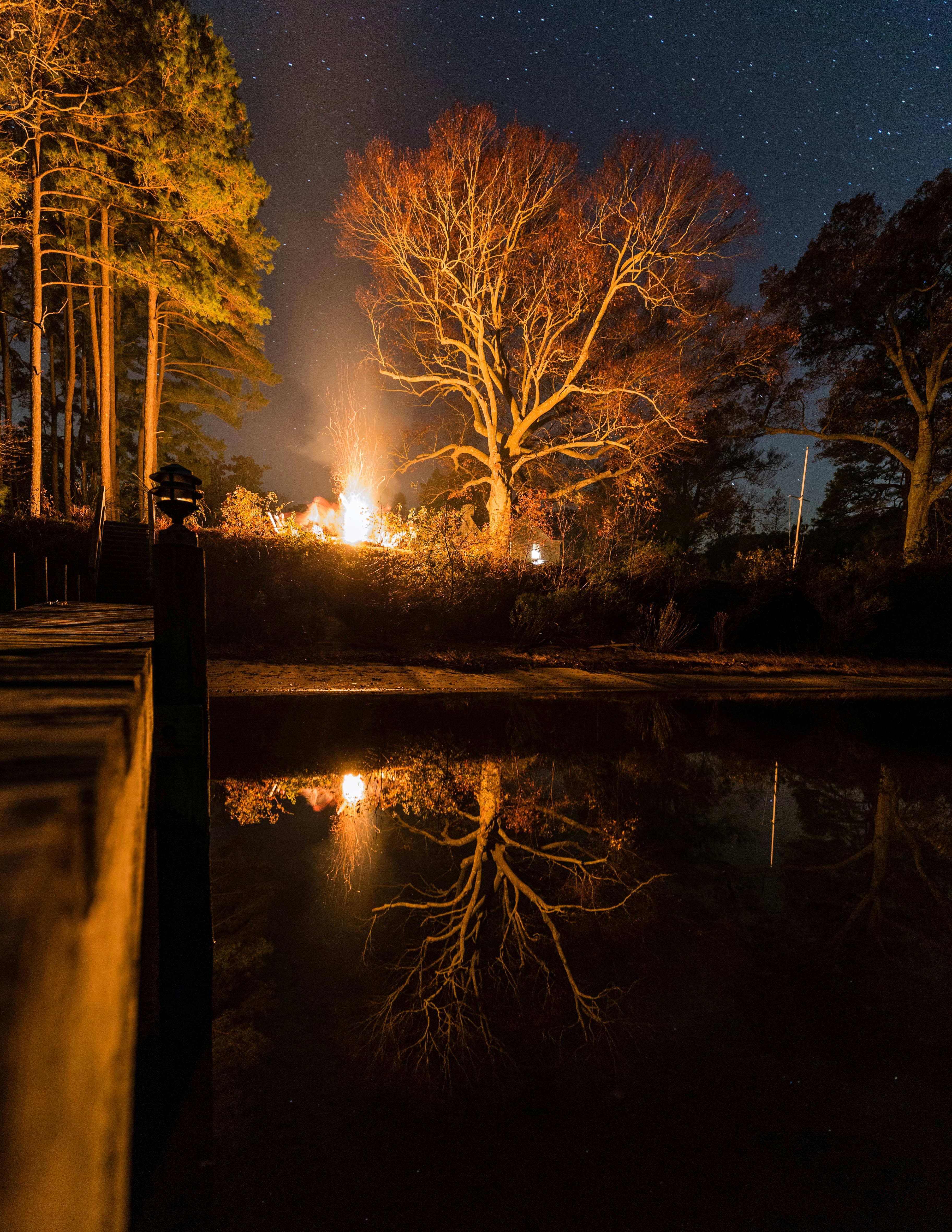 Free Unsplash photo from Wyatt Eck