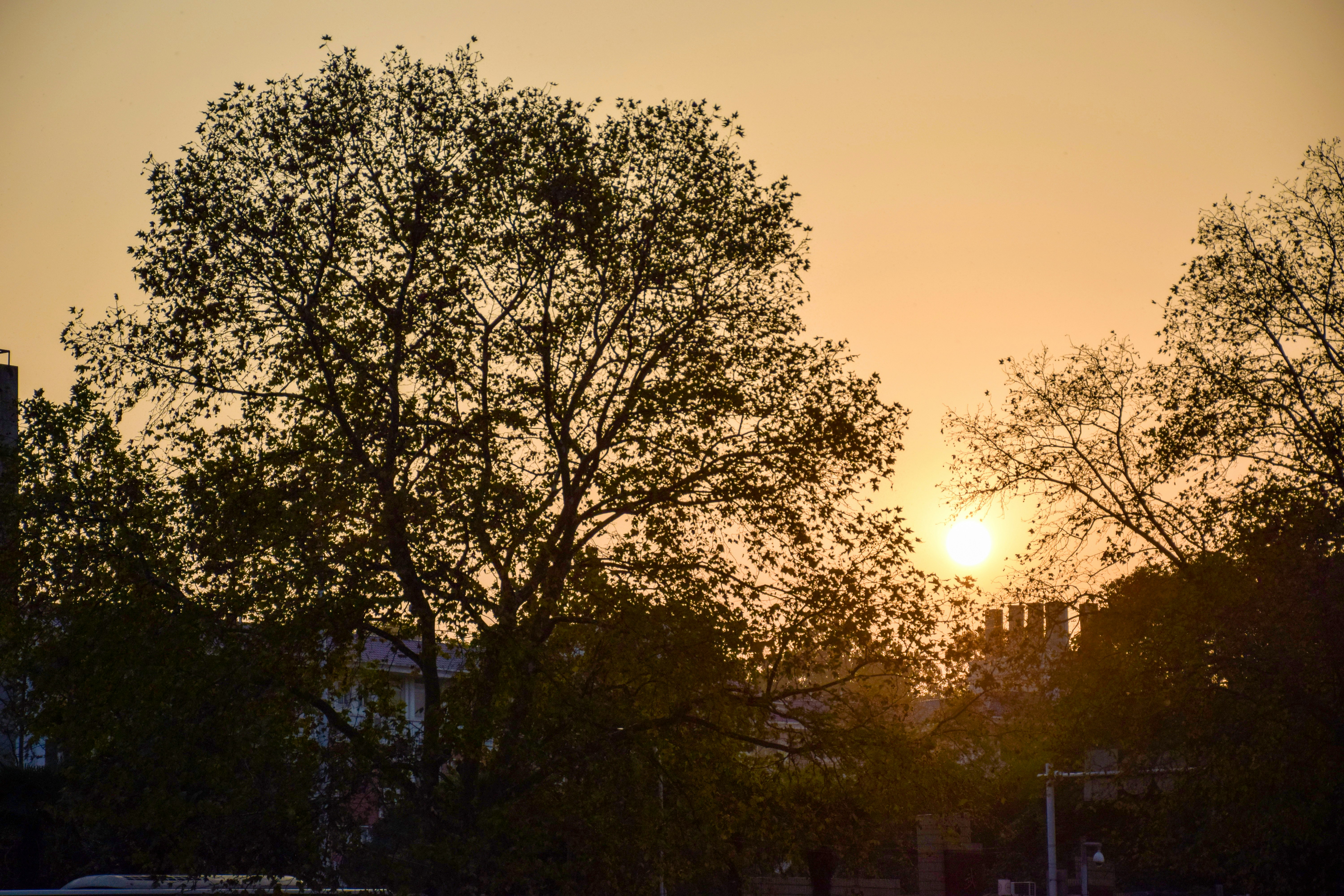 Free Unsplash photo from Ye Xi