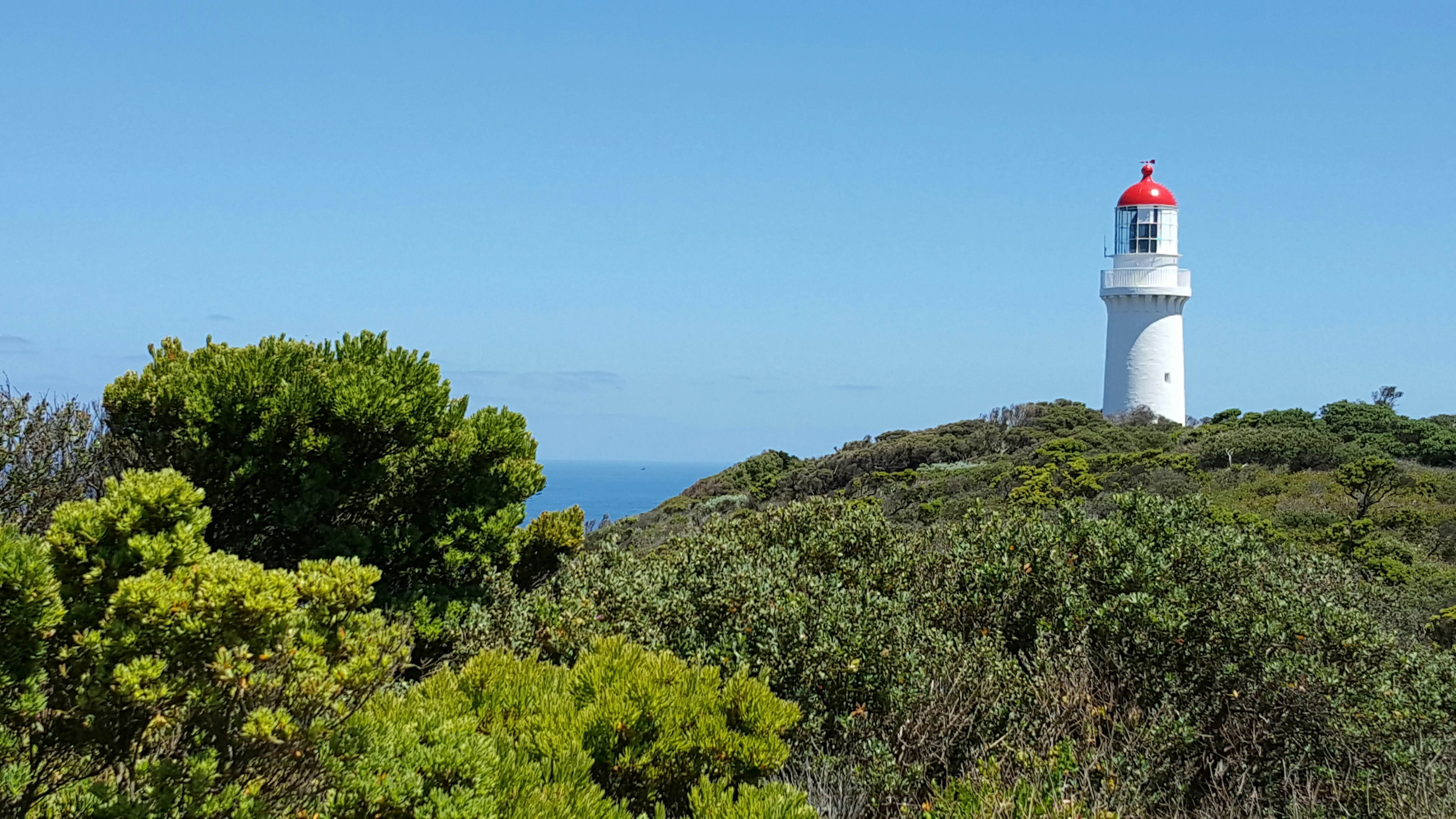 Free Unsplash photo from Kian_Meng Tan